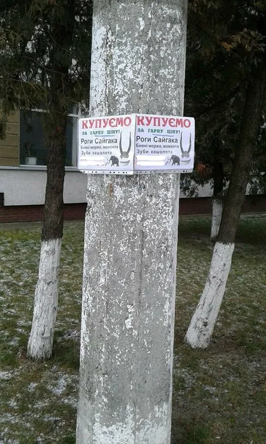 У Луцьку на стовпах знайшли дивну рекламу наркотиків (фото)