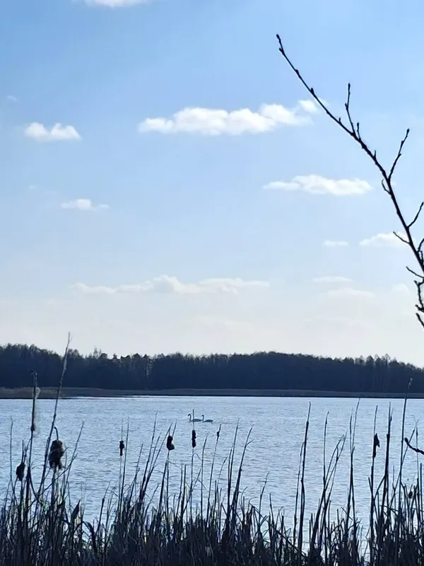 Показали неймовірні краєвиди мальовничого озера на Волині, у якому водиться багато риби
