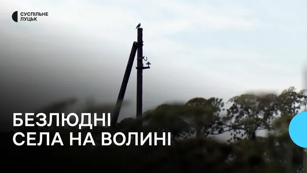 Зарослі сади, чагарники та пусті домівки: куди зникають села на Волині (фото, відео)