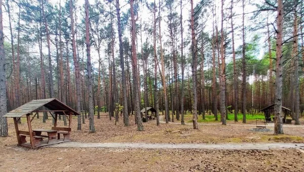 Чим зайнятись на Шацьких озерах: розваги, їжа, цікавинки (фото)