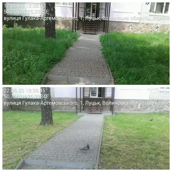 Не вище 15 сантиметрів: лучан змусили скосити траву (фото)