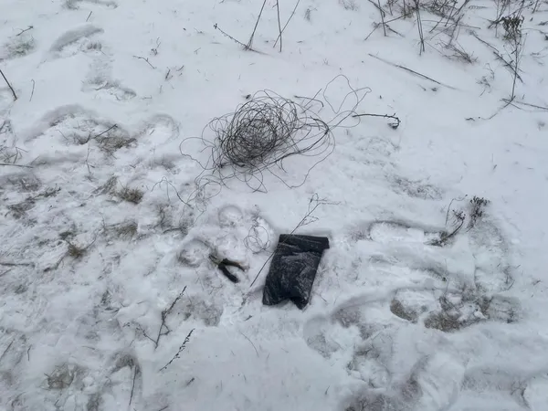 Рубали дерева і розставляли пастки на тварин: на Ковельщині зловили лісопорушників (фото)