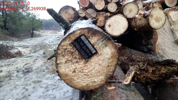 На Волині тестують сучасну програму для комунікації лісників