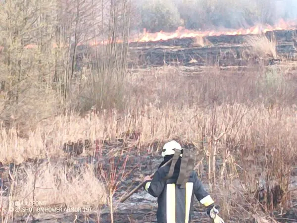 Вигоріло близько 10 гектарів: у Луцькому районі зайнялася пожежа поблизу болота (фото)
