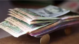 За яку роботу на Волині готові платити від 25 000 до 30 000 грн (відео)