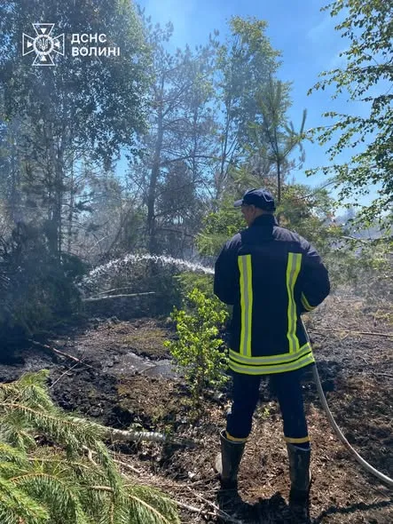 Розгорілося на чотири гектари: на Волині гасять пожежу торфовища (фото)