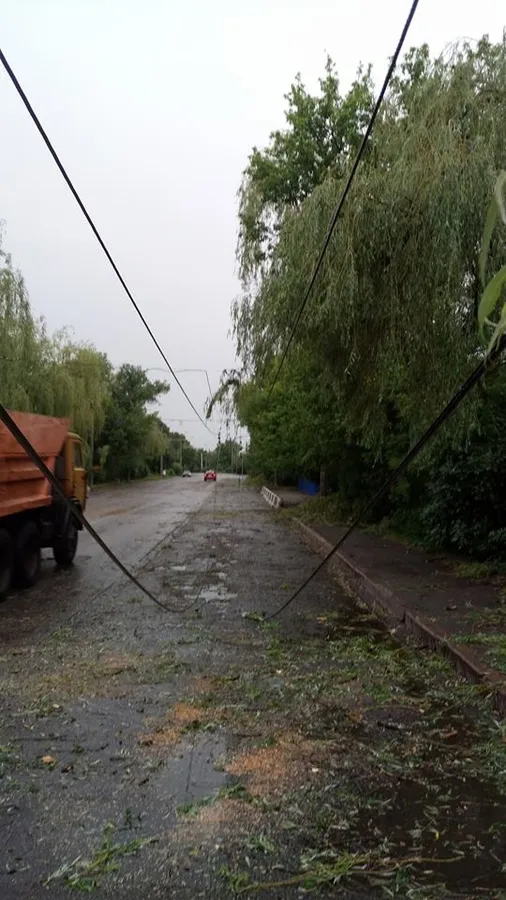 У Луцьку після негоди відновлюють тролейбусні лінії (фото)