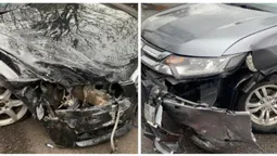 У Луцьку не поділили дорогу Mitsubishi та Audi (фото, відео)