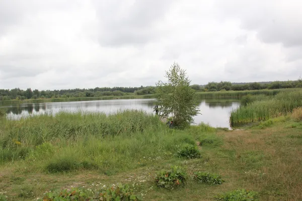 Глибоке і з прозорою водою: біля Луцька є озеро, де водиться багато риби (фото)