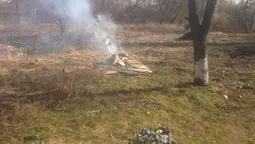Лучан штрафують за спалювання сухого гілля (фото)