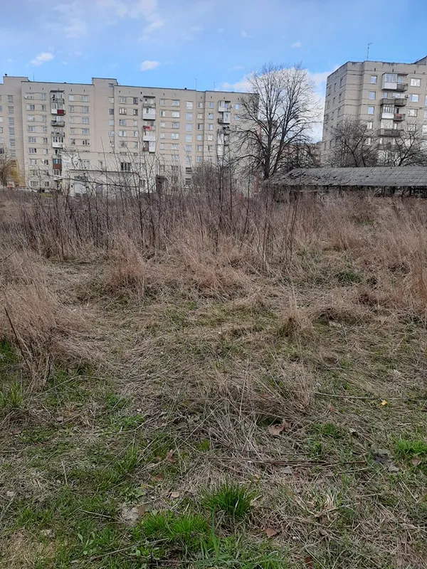 Не моє сміття, але моя планета: луцька школярка започаткувала корисний челендж (фото)