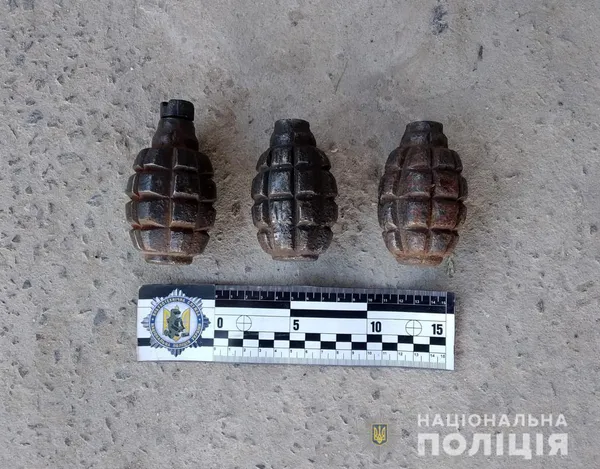 Пістолети, гвинтівки, гранати: на Ковельщині у чоловіка вилучили арсенал зброї (фото, відео)