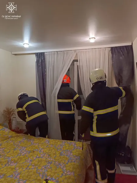 У Луцьку зграя кажанів «окупувала» квартиру на дев'ятому поверсі (фото)