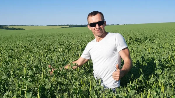 Втратив 300 гектарів в окупації та вирощує ягоди на Волині: історія агронома з Харківщини (фото)