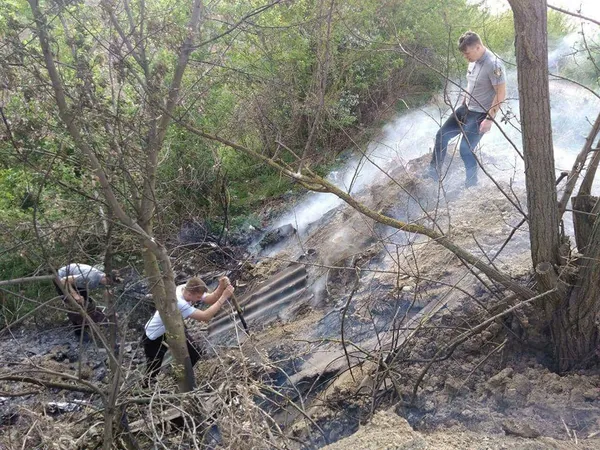 У Луцьку через підпал сміття зайнялися дерева та кущі (фото)