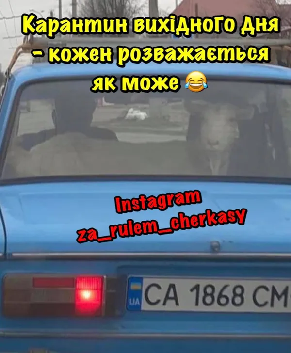 На побачення – в аптеку, магазин, маршрутку: жарти про карантин вихідного дня (фото)