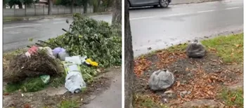 Сміття просто на вулиці: у Луцьку скаржаться на стихійні звалища (відео)