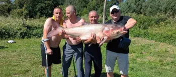 Справжній гігант: ветерани війни витягли з води 34-кілограмового товстолоба (фото)