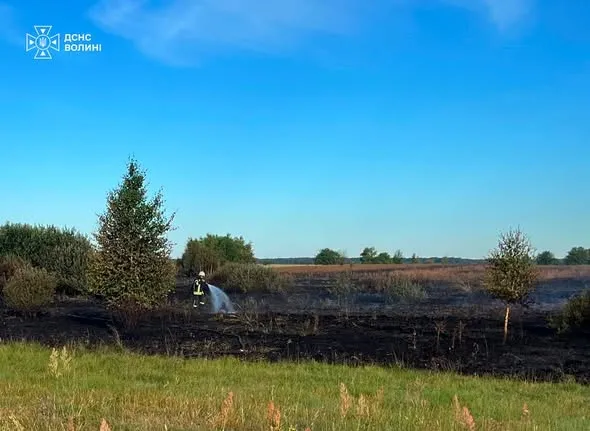 На Волині горять торфовища: вогонь охопив майже гектар території (фото)