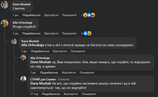 Викликають сильне серцебиття і задишку: на Волині помітили рослину з небезпечними ягодами (фото)