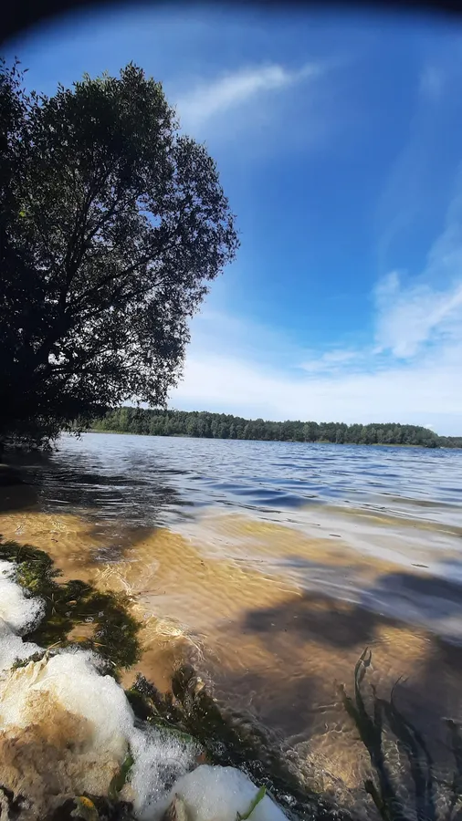 В лісі біля Старої Вижівки заховалось бездонне озеро: які легенди розповідають місцеві (фото)