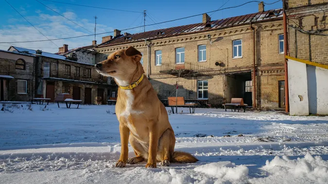 Віконні рами, балкони, таблички: таємниці одного дворика в Луцьку (фото)