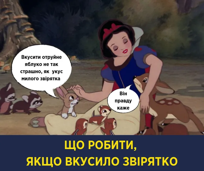 Небезпечно – сказ: Супрун порадила, що робити в разі укусів тваринами