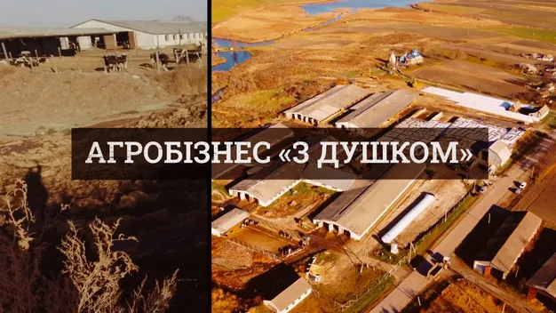 На Волині фермер заливає село нечистотами (відео)