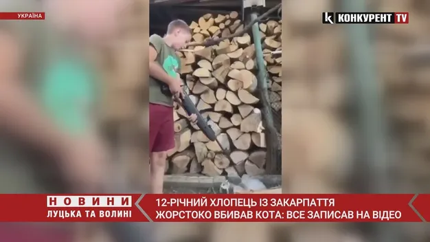 На Закарпатті 12-річний хлопець розстріляв кота з пневматичної рушниці (відео 18+)