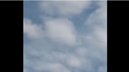 На Волині зафіксували, як журавлі відправляються в теплі краї (відео)