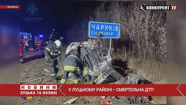 Водій загинув: у Луцькому районі легковик протаранив фуру (фото, відео)