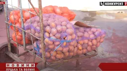🥔💰 Ціни на продукти далі «битимуть по гаманцю»: до чого готуватися волинянам у 2025 році (відео)