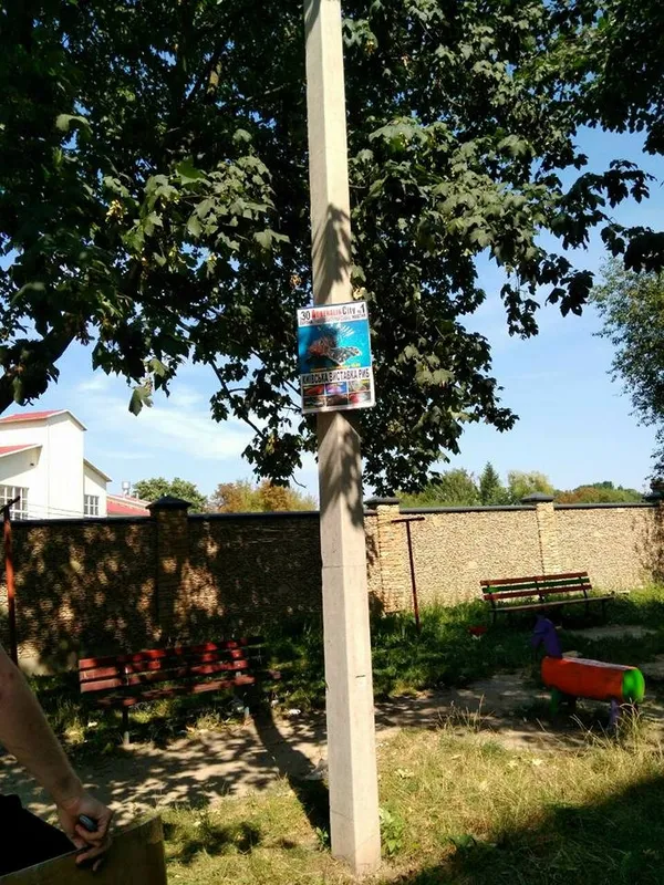 Муніципали очистили Луцьк від незаконної реклами (фото)