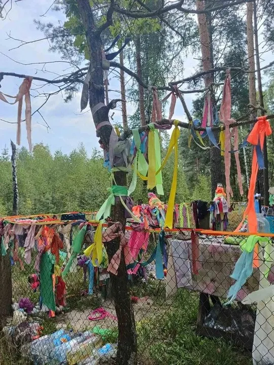 Хрести серед лісу і загадкові зцілення: на Поліссі є місце, куди їдуть за дивом (фото)