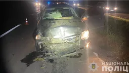 Біля Луцька авто в'їхало в підводу: постраждали троє людей, двоє із них – діти (фото)