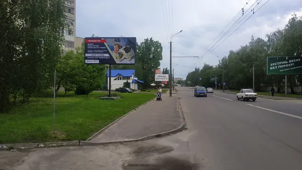 У Луцьку на білбордах з'явилися безпритульні тварини (фото)