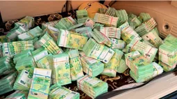 €4,7 млн в багажнику: затримали бухгалтерку фірми, яка постачала продукти для Міноборони (фото, відео)
