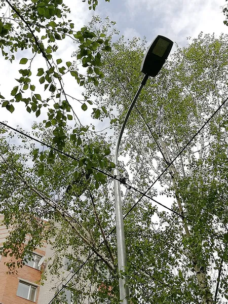 У Луцьку біля 21-ї гімназії встановили нове освітлення (фото)