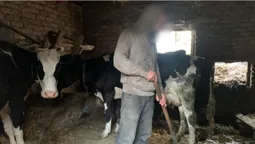 Жили в хліву і працювали за їжу: як покарали волинянку, яка утримувала людей у рабстві (фото)