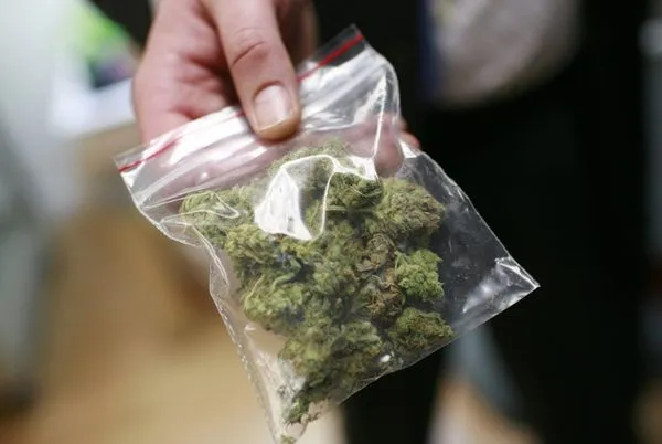 У Раді підтримали петицію щодо легалізації марихуани