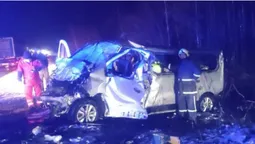 Водій виїхав на зустрічну: двоє волинян загинули в аварії на Житомирщині (відео)