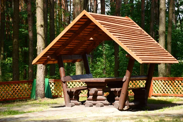 Лісівники соціальні: подорож рекреаційними пунктами Волині (фото)
