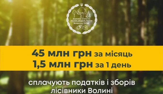 Лісівники Волині вже сплатили до бюджетів 493 мільйони гривень