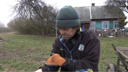 Вбив вовка вилами: яка ситуація з поширенням сказу і відстрілом диких тварин на Волині (фото, відео)