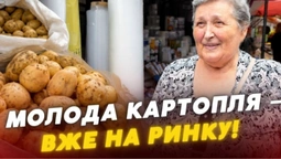 Молода картопля на луцьких ринках: які ціни і звідки везуть сезонний овоч (відео)
