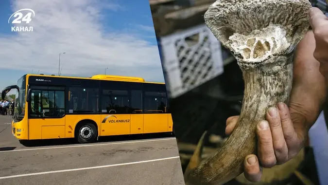В шоці були усі: на кордоні з Польщею затримали автобус через незвичний вантаж у пенсіонерки