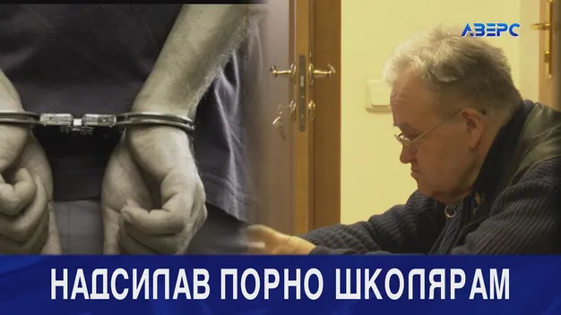 У Луцьку пенсіонера судять за дитячу порнографію (відео)