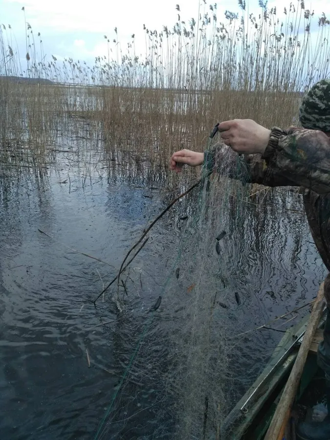 На Волині екоінспектори вилучили пів кілометра браконьєрських сіток (фото)