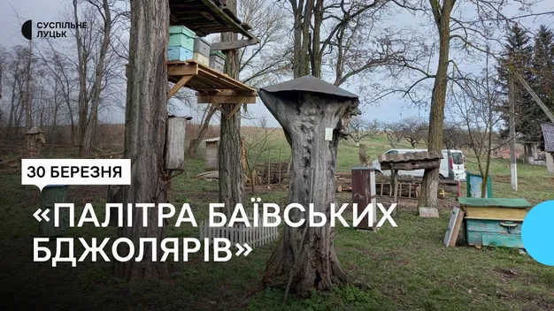 У музеї бджільництва на Волині відкрили сезон пасіки (відео)