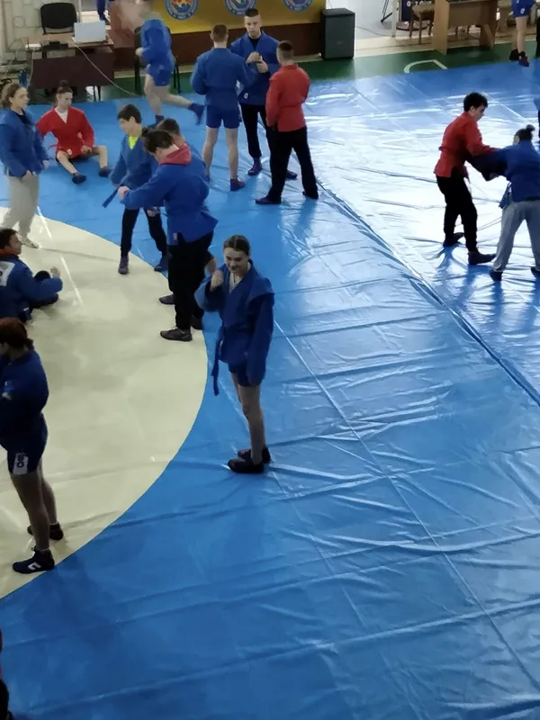 Спортсменка з Волині виборола «бронзу» на чемпіонаті України з самбо (фото)